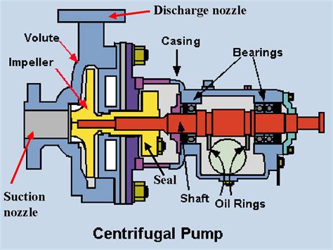 Centrifugal Pump ODM|centrifugal pump head diagram.